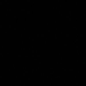 Meet your Posher, Miya